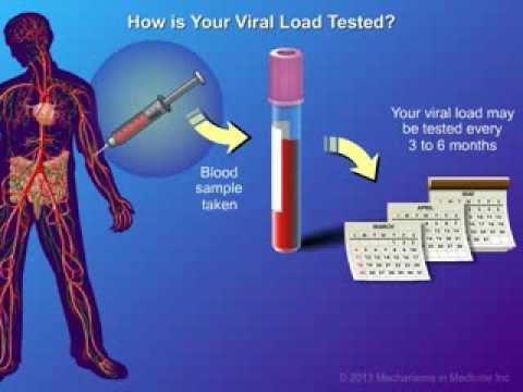 how to measure hbv dna