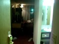 Paranormal Band Activities