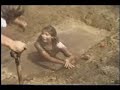 Mechoneo Agronomia UCV 1986 (Parte 1)