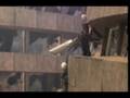 videos de Kadaj - I Wont Be Ignored FD.wmv