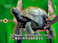 ??????? ?????? 10 Jataka  (Sub. ?? Eng)