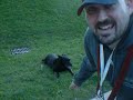 Sloth Bear hunting Sloth Bear hunting