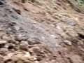 concepción chile urgente: atentado ecológico fundo nonguen