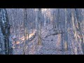 Jay's 8 PT bow NY Part 1 The miss
