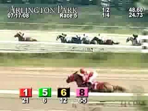 ARLINGTON PARK, 2008-07-17, Race 5