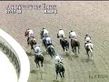 ARLINGTON PARK, 2008-07-17, Race 5