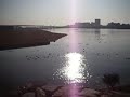 Birds sanctuary - Nishinomiya beach