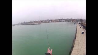 SteveOlureS ASP Zombie úszáspróba