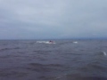 jetski sport - tindug nux!