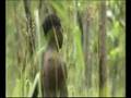 Travel Oz Episode 25 (Part 1)