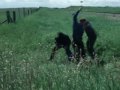 Brokeback Mountain - NICKELBACK - If Everyone Cared
