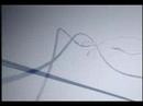 More than a pen (female) More than a pen (female)