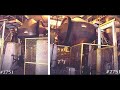 http://www.arnoldeqp.com/2751.aspx165 CU. FT. DOUBLE CONE BLENDER - C/S - 15 HP1 - used approx. 165 cu. ft. Carbon Steel Double Cone Blender. Diameter is approximately 96 in.. Unit is driven by an approximately 15 HP gearhead motor drive. Blender is on short fabricated steel stands mounted on concrete piers. Blender apprears to be a Paul O. Abbe however there was no nametag found on the unit. Total volume is approximately 235 cu. ft. Machine is still installed at the former use location near Baltimore Maryland.ARNOLD EQUIPMENT COMPANY P.O. Box 22960Cleveland, Ohio 44122Phone: 216-831-8485Fax: 216-831-8414 http://www.arnoldeqp.com