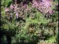 Sunken Gardens Slide Show
