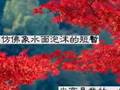 海上花 - Flower of the Sea - Hai Shang Hua - 歌手:罗大佑