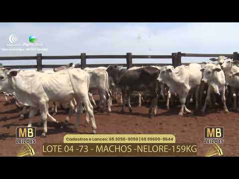 515� LEIL�O VIRTUAL MB LEIL�ES