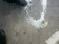 videos de When Lorren +Beth+Jess Got Yoghurt All Over Them Lol