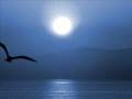 videos de TRAMONTI DI ALGHERO