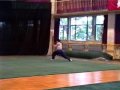 forma de wu shu3