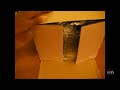 Unboxed: Sanyo Xacti CG10