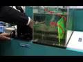 Non-Contact Energy Transfer System : DigInfo