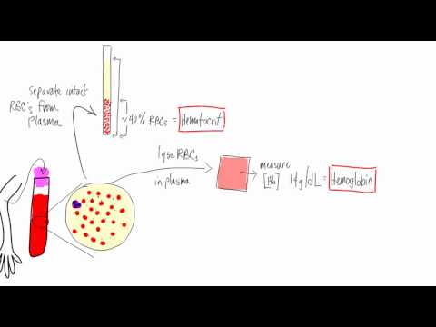 how to perform hb test