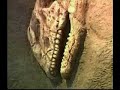Introductory Geology in Thai 3/12 Era