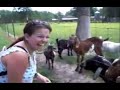 Cute&Funny Collection Of Animal Videos