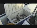 Catfish Fishing Choke Canyon at Three Rivers, Texas with pro guide Captain Wallace Gee.
