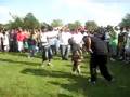 Essequibo reunion - male dancing competition