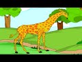 Learn Alphabets