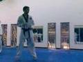 chiquo taekwondo
