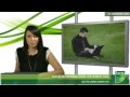 Social networking huge job-search tool