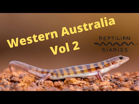 YouTube reptile video