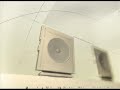 Young Trizo - Ryder Muzik (ft. Maine Coley) [new] 08/02/2008
