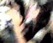 algo-se-muere-en-el-