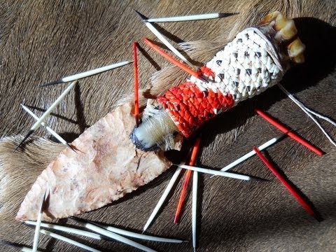 how to harvest porcupine quills