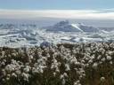 Greenland Ice