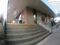 videos de donny 7 bails