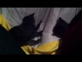 Bug in the Rug - YouTube - The kittens have a new game using the cover on the couch in their room. And of course Lion-O is the one to find the cozy new play space. #foxfosterkittens