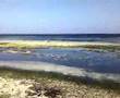 Very poor beach in malindi