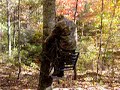 treestand stress