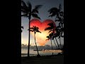 Mia Rose ~ Lawrence w. Lyrics
