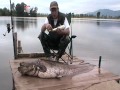 Fishing Team Romeo (CZ)+Embarcaciones E.Navarro (ESP): Lov sumcu na delte El Ebro