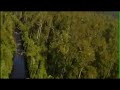 lower-weld-valley-threatened-forests-from-the-air.html