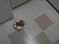 Robi - Obstacle Avoidance using IR