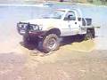 videos de Seagull Bogged
