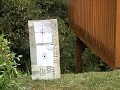 Echo 1 M4 Shooting test Part 3