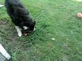 UNA THE DOGIE :D