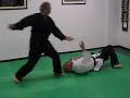 Aikido Iaido Yawara do difesa personale